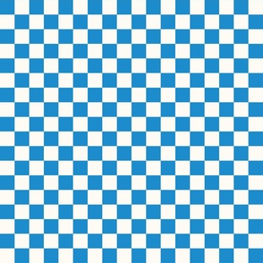 small blue checkerboard