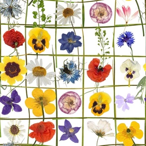 18 " wild check flowers jigsaw puzzle - dried wildflowers - pressed wildflowers - 