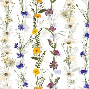 Pressed And Dried Wildflowers Borders Vertical - Cornflowers,Buttercup,Cosmos,herbs - double layer on off white