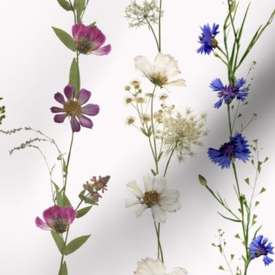 Pressed And Dried Wildflowers Borders Vertical - Cornflowers,Buttercup,Cosmos,herbs - on off white