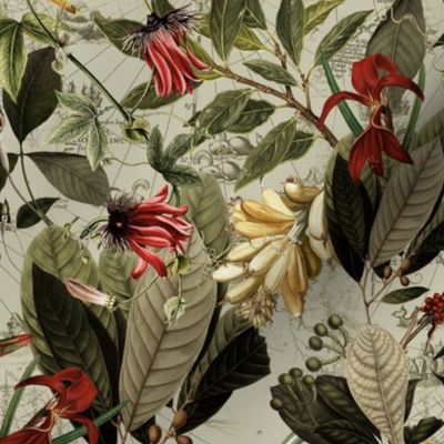 Vintage Tropical Red Birds And Flower Jungle,  Vintage Wallpaper  sepia  with vintage map background