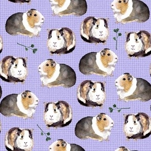 Guinea Pig Buddies on Lavender by Brittanylane