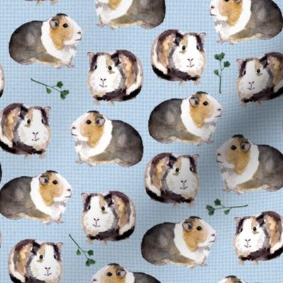 Guinea Pig Buddies on Cornflower Blue by Brittanylane