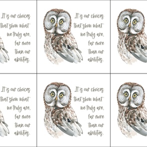 Lovey owl abilities 18x18 
