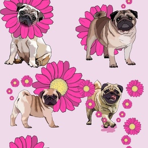 Pugs and Flowers