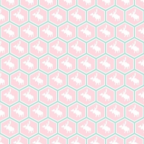 Small - Hexagon Moose - Light Pink and Mint