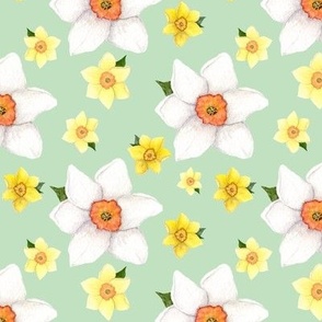 Mint Green Daffodil Heads