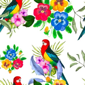 Mexican style,flowers,pansy,parrots,pansies