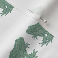 Garden Frogs - Green on White