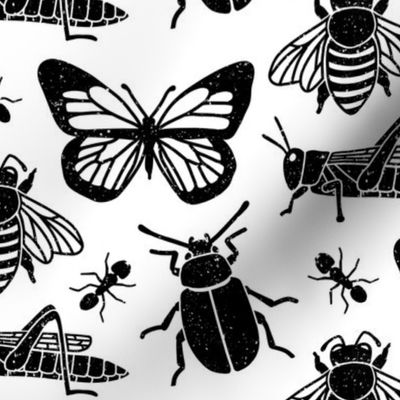 Black and White Bugs