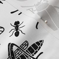 Black and White Bugs