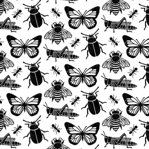 Black and White Bugs
