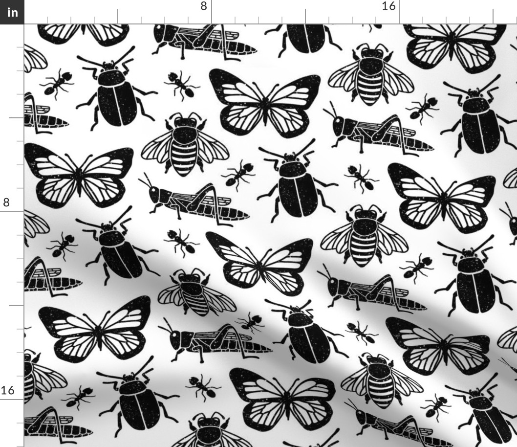 Black and White Bugs