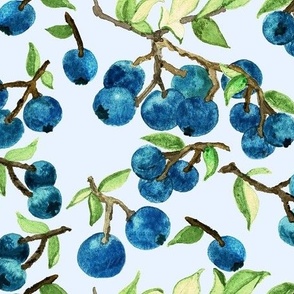 Ripe Blueberries On Sky Blue