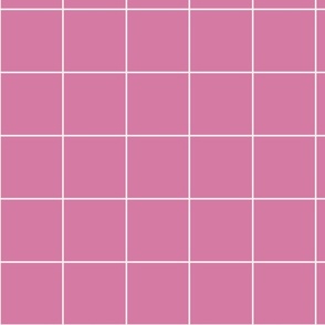 Grid / simple minimal geometric check pattern pink