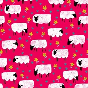 sheep at work on pink | medium