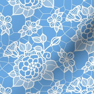 White lace flower on blue 