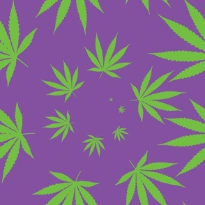 Cannabis Spiral Purple Haze