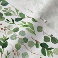 Watercolor Botanical Eucalyptus & Green Leaves {White} Small Scale