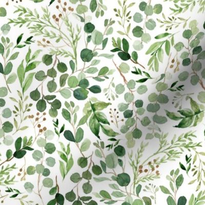Watercolor Botanical Eucalyptus & Green Leaves {White} Small Scale