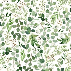 Watercolor Botanical Eucalyptus & Green Leaves {White} Small Scale