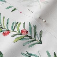 Elegant woodland branches and berries on white