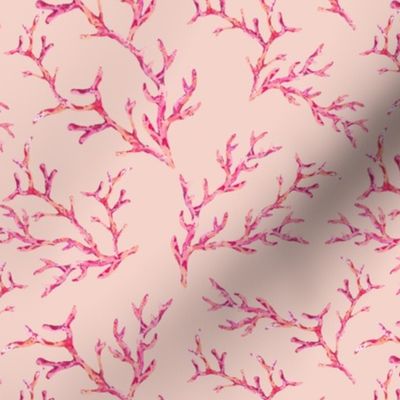 Pink corals, summer underwater pattern