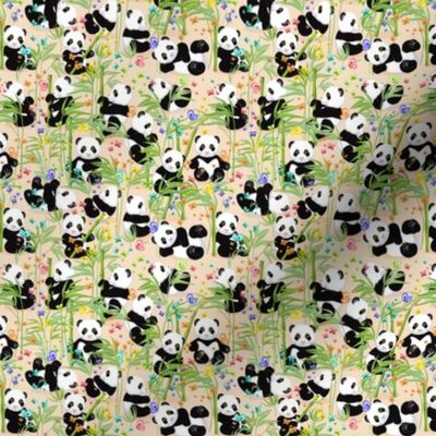 Small scale, Cheerful panda with bamboo, light orange background