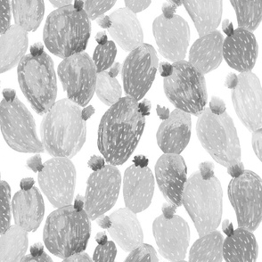 Cacti Monotones_Jumbo large scale