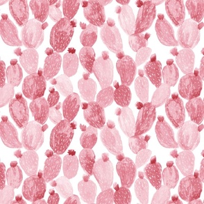 Cacti Monotones pink