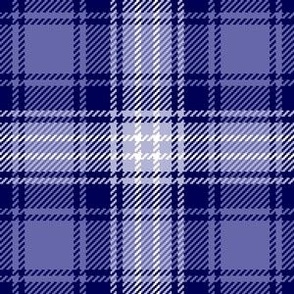 13110785 : tartan : spoonflower0633