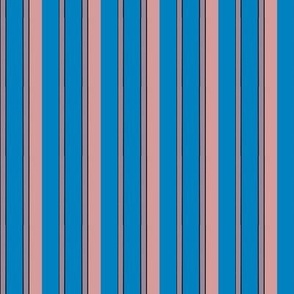 blue pink black stripes