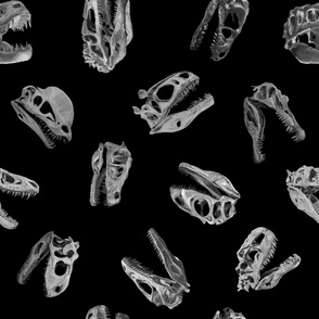 Large Tossed Dinosaur Skulls Monochrome Greyscale on Black by Brittanylane