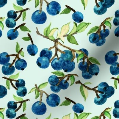 Ripe Blueberries On Mint