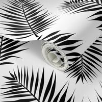 Palm leaves Black and white