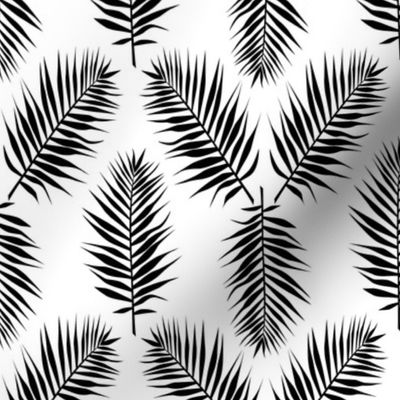 Palm leaves Black and white