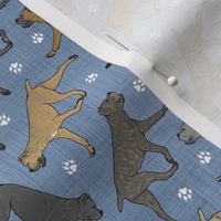 Tiny Trotting Cane Corso and paw prints - faux denim