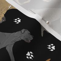 Trotting uncropped Cane Corso and paw prints - black