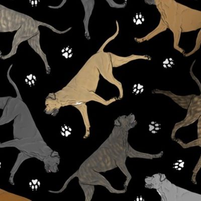 Trotting natural Cane Corso and paw prints - black