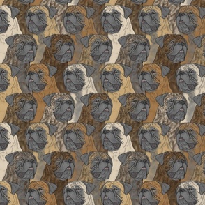 Bullmastiff portrait pack