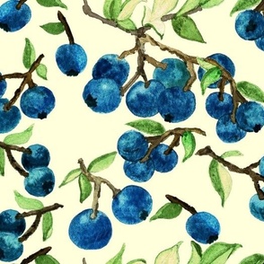 Ripe Blueberries On Vanilla