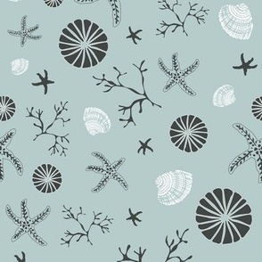 Small - Starfish and Shells underwater - grey on sea glass