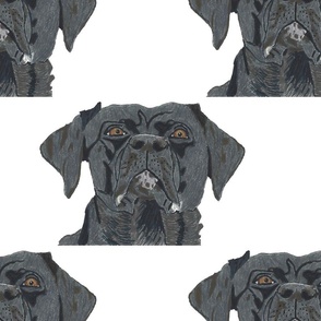Black Labrador Dog Portrait Hand Drawn Image  Pattern 