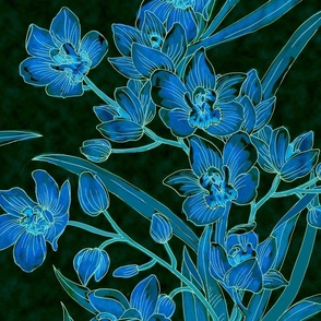 Midnight Cymbidium Orchid-green blue
