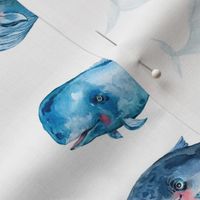 Cute blue whale on white