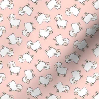 (small scale) Lambs - cute lambs - sheep - pale pink toss - spring easter - C22