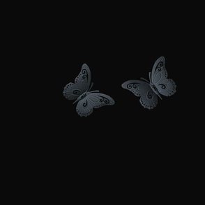 Gray Butterflies on a Black Background 