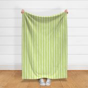 Medium scale honeydew green narrow vertical stripes