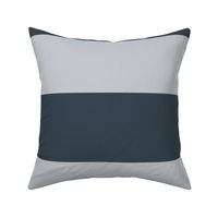 Charcoal silver color block