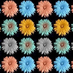 Dandelion Collage (middle size)